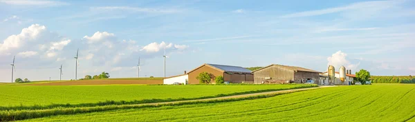 Panorama da quinta rodeado por prado / campo — Fotografia de Stock