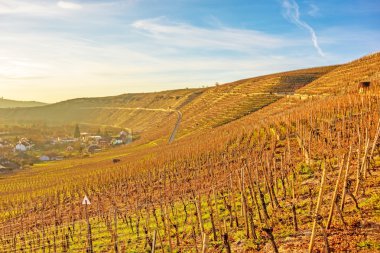 bağ günbatımı / gündoğumu