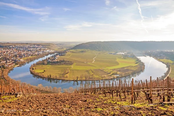 Rzeka Neckar - pętli w Hessigheim - panorama — Zdjęcie stockowe