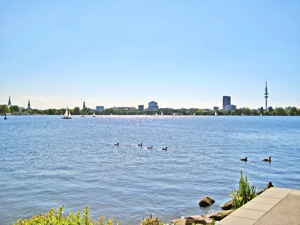 Hamburg Jeziora Aussenalster Łodzi Żaglowych Panoramę Miasta Hamburg — Zdjęcie stockowe