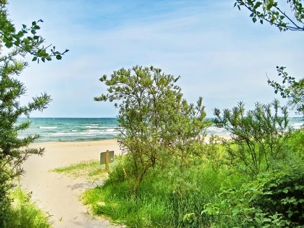 Доступ к пляжу Балтийского моря — стоковое фото