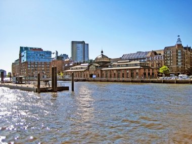 Hamburg, Almanya - balık müzayede salonu (Fischmarkt)