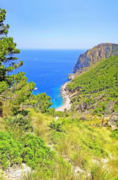 Coll Baix, Maiorca — Foto Stock