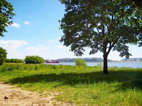 Riverside of Elbe, Hamburg — Stock Photo, Image