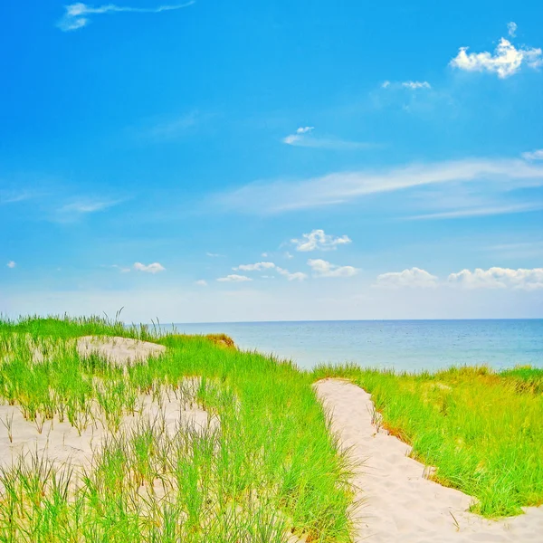 Pad door de duinen — Stockfoto