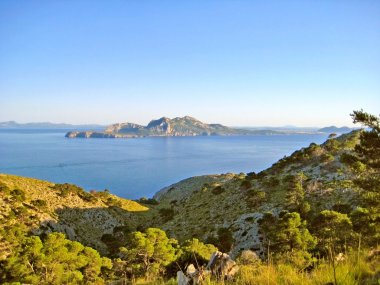 Bay Pollenca, Mayorka