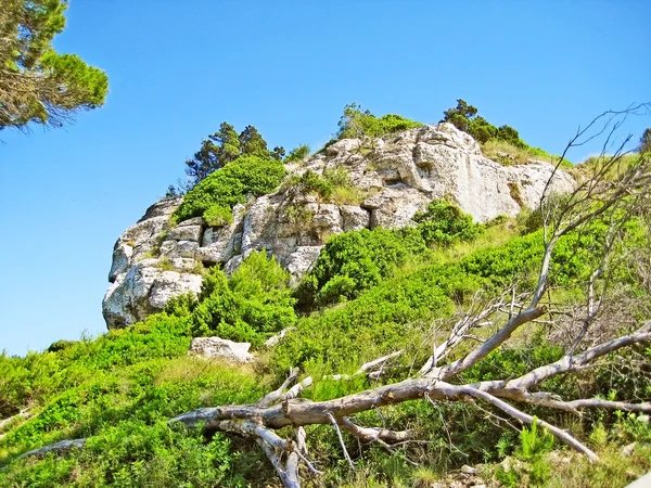 Rocha de montanha maciça com arbustos verdes — Fotografia de Stock