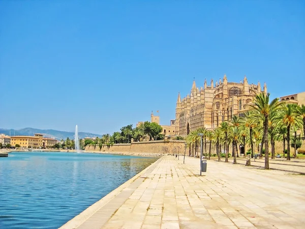 Cathedral Seu Palms Palma Mallorca Spain — Stock Photo, Image