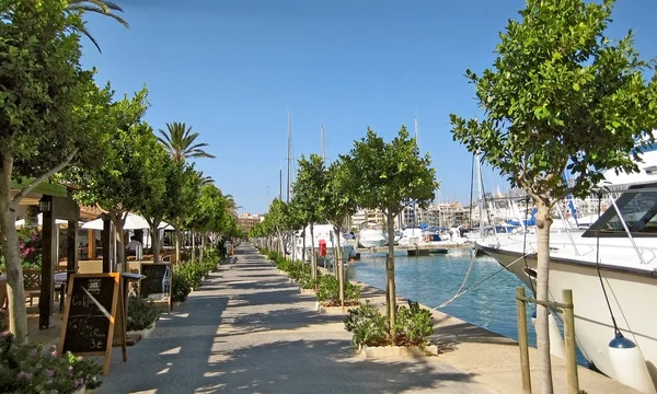 Alcudia portu promenadzie panorama, Majorka — Zdjęcie stockowe