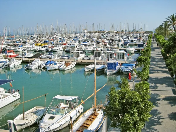 Panorama do porto de Alcudia, Maiorca Fotos De Bancos De Imagens