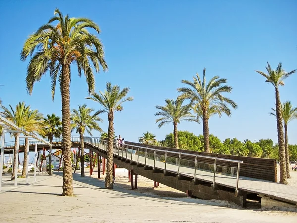 Palms with pier at beach in Alcudia, Majorca, Spain — Stock Photo, Image