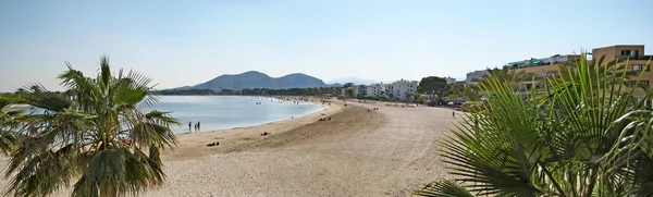 Alcudia panorama plaży z palmami, Majorka — Zdjęcie stockowe