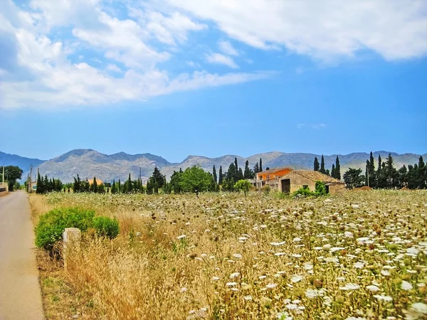 Rural landscape with finca — Stock Photo, Image