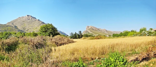 Wiejski krajobraz panorama z góry i łąki, w naturze — Zdjęcie stockowe