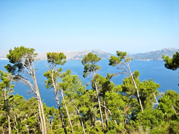 A pollenca, Formentor félszigetről - Mallorca északi partján öböl — Stock Fotó