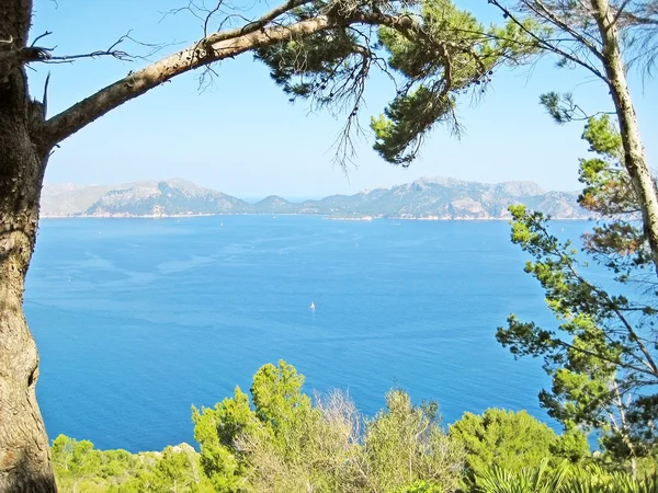 Bay Pollenca Peninsula Formentor View Peninsula Victoria Coastal Cliff Coast — Stock Photo, Image