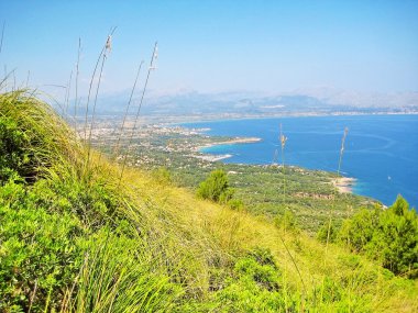 Bay Pollenca, yarımada Formentor, yarımada Victoria - kıyı cliff önde, okyanus manzarası, çam ağaçlarının görünümünden 