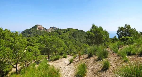 徒步旅行在山上，路径全景 — 图库照片