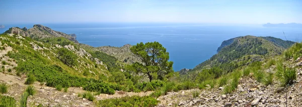 Camino en las Montañas — Foto de Stock