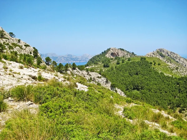 Horská Krajina Zelené Hory Stromy Ocean Bay Pozadí — Stock fotografie