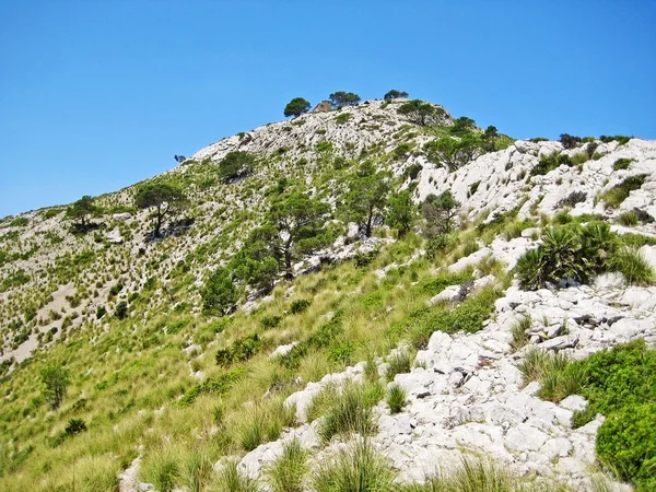 山冠与草和蓝天 小屋在顶部 — 图库照片