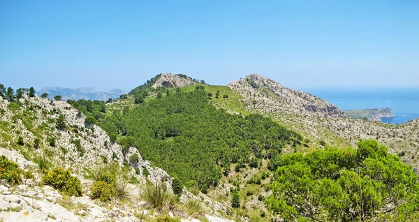 青山景观 — 图库照片