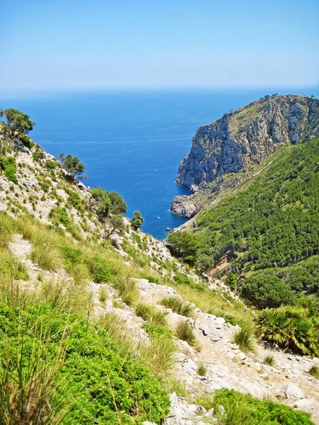 Coll Baix Słynnej Zatoki Plaży Majorka Hiszpania Widok Góry — Zdjęcie stockowe