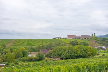 Weinstrasse, Germany