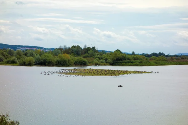 Altmuehlsee — Fotografia de Stock