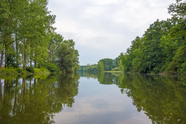 Berghaeuser Altrhein — Stock Photo, Image