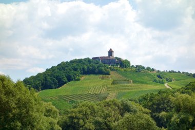 kale lichtenberg
