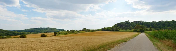 Farmland panorama — Stock Photo, Image