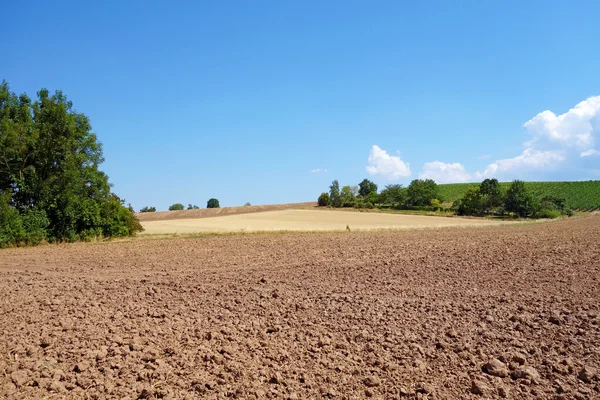 Kahverengi tarım arazileri — Stok fotoğraf