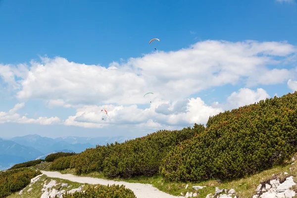 Dachstein-Krippenstein paragliders — Stock Photo, Image