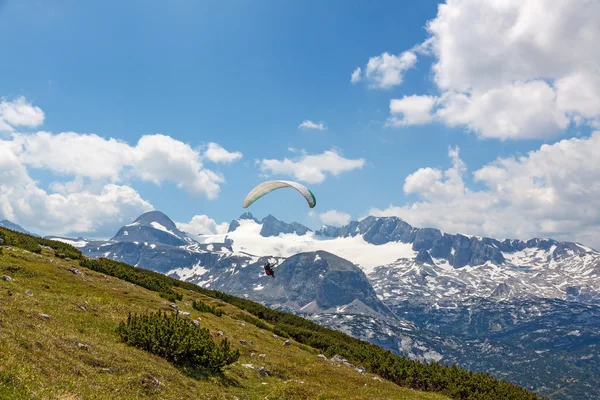 Dachstein-Krippenstein paraglider — Stock Photo, Image