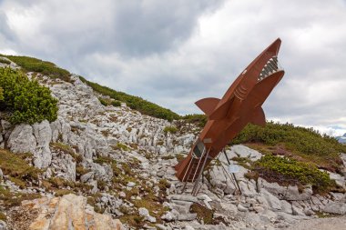 Dachstein köpekbalığı