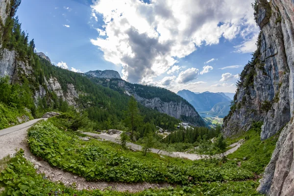 Mammoth cave exit - valley view — Stock Photo, Image