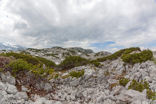 Paysage des montagnes Dachstein — Photo