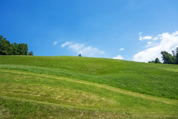 Verde colina cielo azul — Foto de Stock