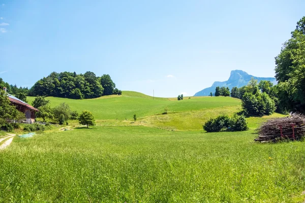 Zielony krajobraz wiejski — Zdjęcie stockowe
