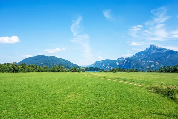 Paisaje rural verde — Foto de Stock