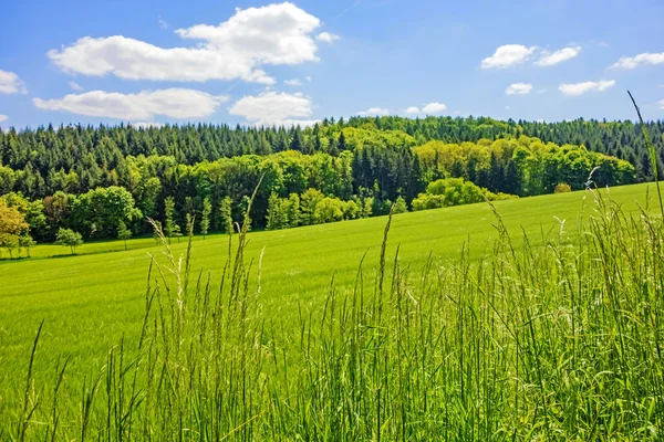 Ländliche Landschaft — Stockfoto