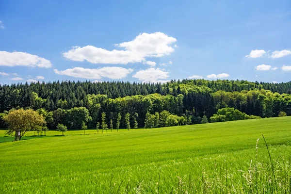 Paisagem rural — Fotografia de Stock