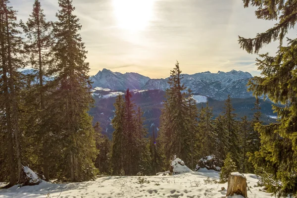 Mountain landscape — Stock Photo, Image