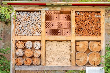 Arılar ve böcekler için duvar iç içe