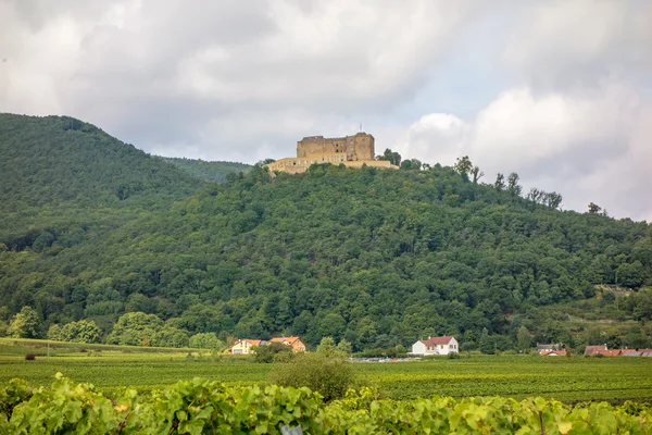 Zamek Hambacher Schloss, widok z winnicy — Zdjęcie stockowe