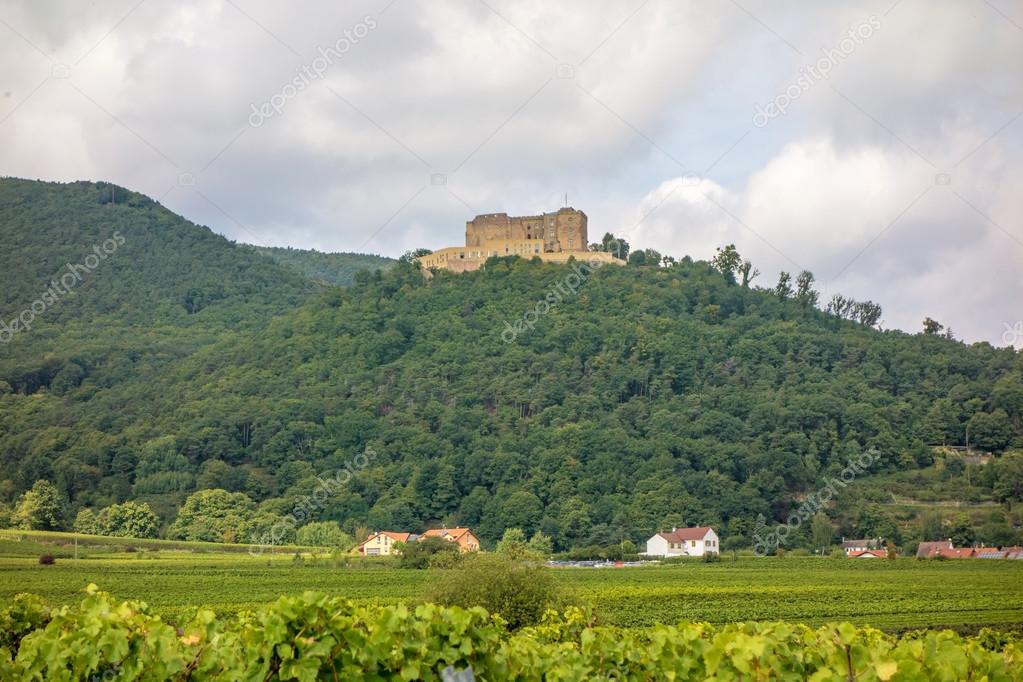 Neustadt An Der Weinstrase