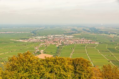 Güney şarap rota, Rheinland-Pfalz