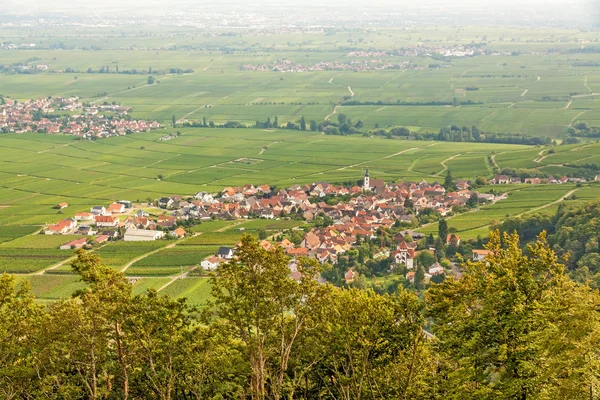 Strada del vino meridionale, Renania-Palatinato — Foto Stock