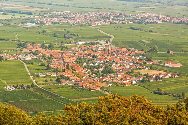 Strada del vino meridionale, Renania-Palatinato — Foto Stock